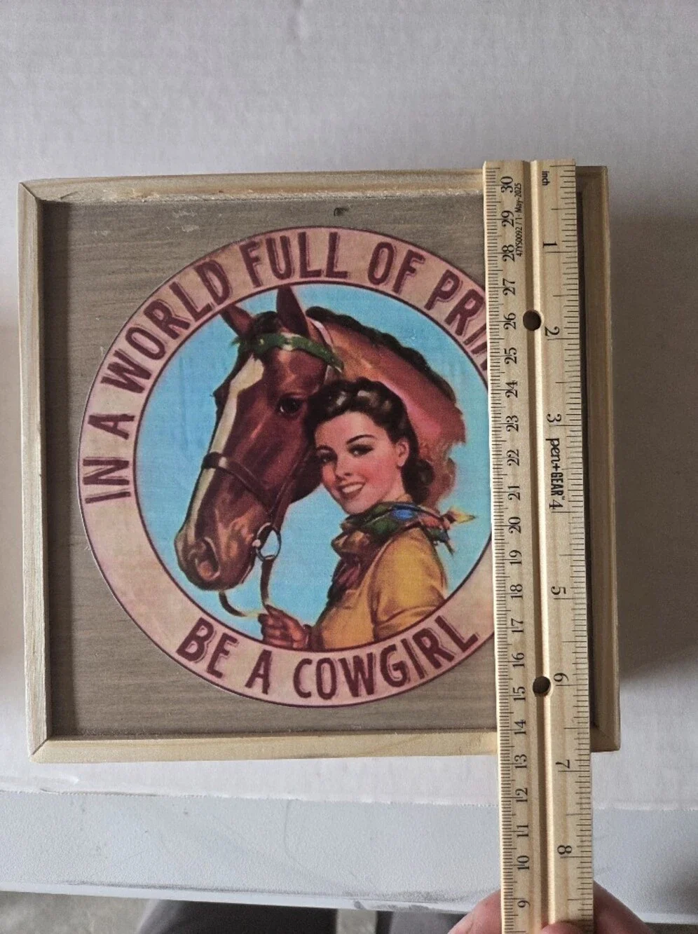 Be A Cowgirl Decorative Wall Plaque - Blue and Brown